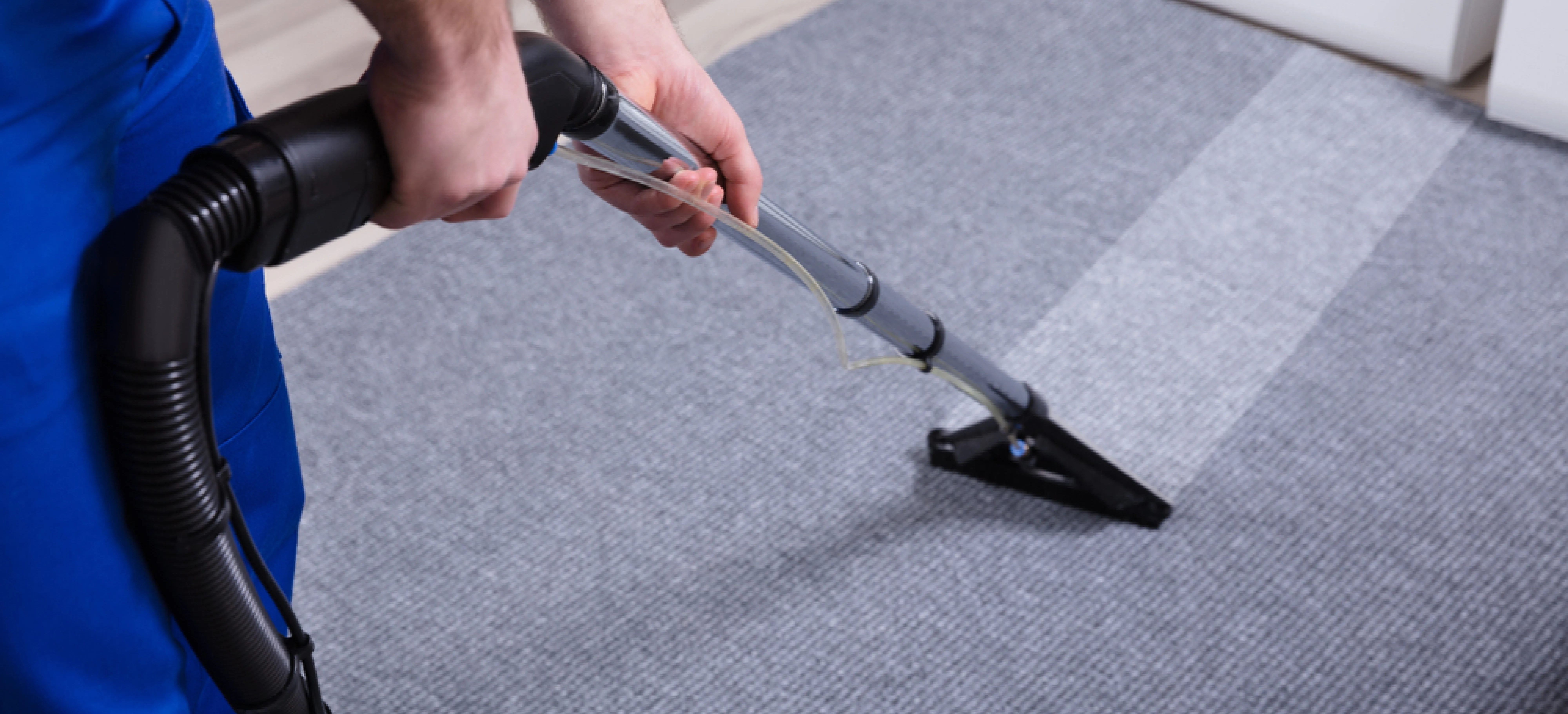 carpet cleaning in new jersey, carpet cleaning in new jersey, carpet cleaning new jersey, carpet cleaners in new jersey, carpet cleaners in new jersey, commercial carpet cleaning, commercial carpet cleaning in new jersey, new jersey rug cleaners, rug cleaning services in new jersey, same day carpet cleaning, same day rug cleaning
